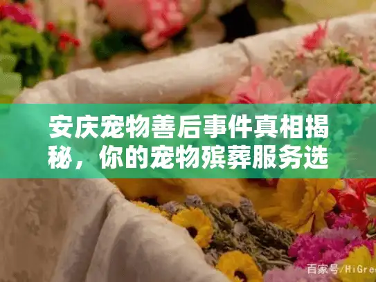 安庆宠物善后事件真相揭秘，你的宠物殡葬服务选择安全可靠吗？