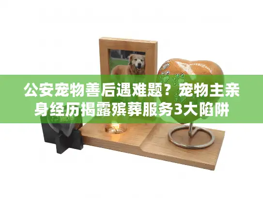 公安宠物善后遇难题？宠物主亲身经历揭露殡葬服务3大陷阱