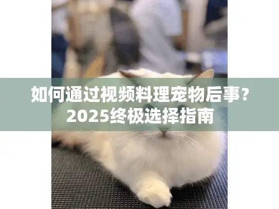 如何通过视频料理宠物后事？2025终极选择指南