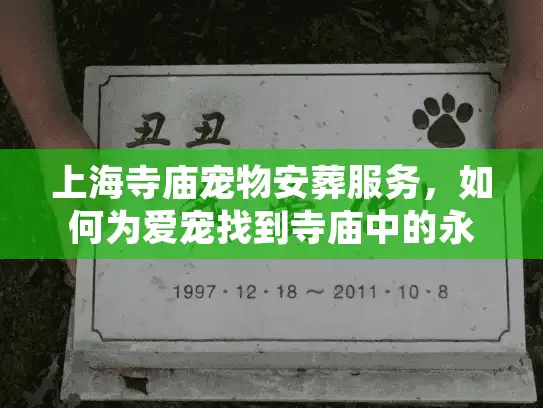 上海寺庙宠物安葬服务，如何为爱宠找到寺庙中的永恒归宿？