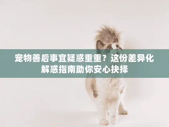 宠物善后事宜疑惑重重？这份差异化解惑指南助你安心抉择