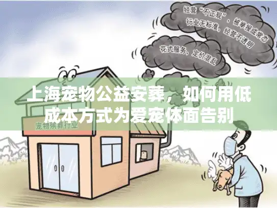 上海宠物公益安葬，如何用低成本方式为爱宠体面告别