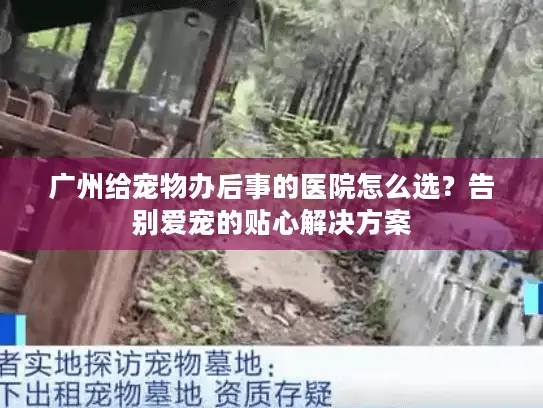 广州给宠物办后事的医院怎么选？告别爱宠的贴心解决方案