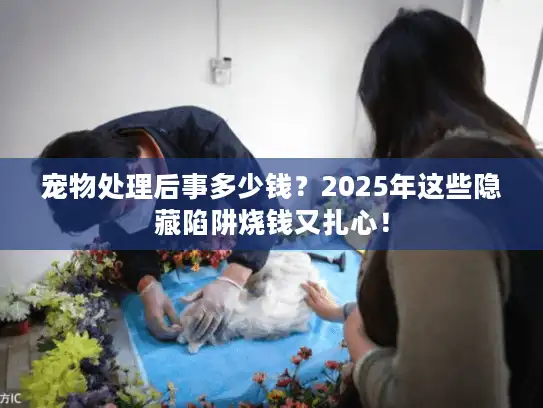 宠物处理后事多少钱？2025年这些隐藏陷阱烧钱又扎心！
