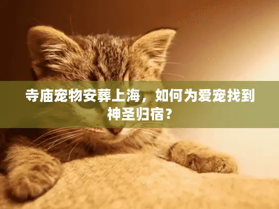 寺庙宠物安葬上海，如何为爱宠找到神圣归宿？