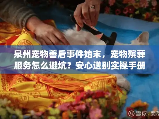 泉州宠物善后事件始末，宠物殡葬服务怎么避坑？安心送别实操手册