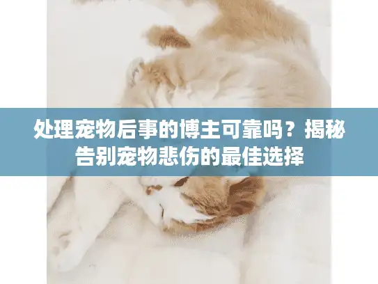 处理宠物后事的博主可靠吗？揭秘告别宠物悲伤的最佳选择
