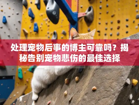 处理宠物后事的博主可靠吗？揭秘告别宠物悲伤的最佳选择