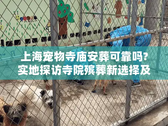 上海宠物寺庙安葬可靠吗?实地探访寺院殡葬新选择及费用揭秘