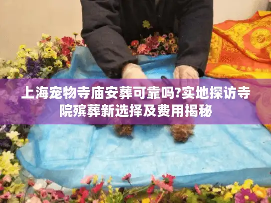 上海宠物寺庙安葬可靠吗?实地探访寺院殡葬新选择及费用揭秘