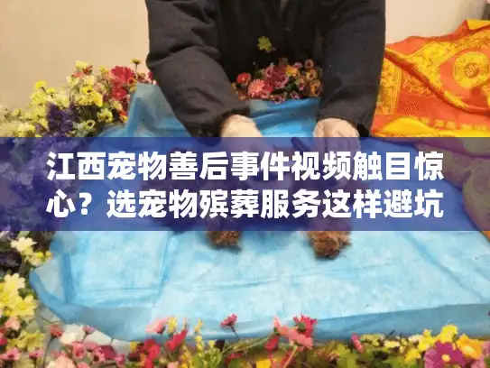 江西宠物善后事件视频触目惊心？选宠物殡葬服务这样避坑无忧