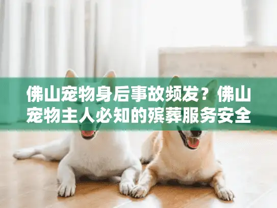 佛山宠物身后事故频发？佛山宠物主人必知的殡葬服务安全选择攻略