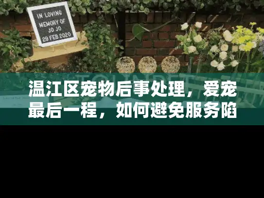 温江区宠物后事处理，爱宠最后一程，如何避免服务陷阱？