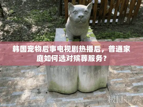 韩国宠物后事电视剧热播后，普通家庭如何选对殡葬服务？