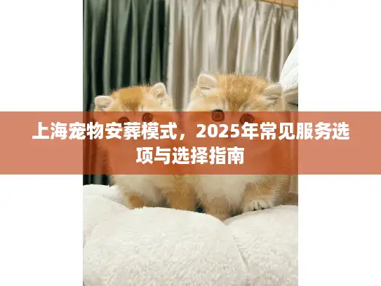 上海宠物安葬模式，2025年常见服务选项与选择指南