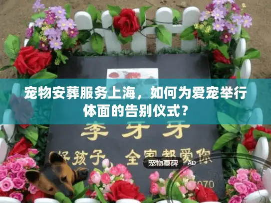 宠物安葬服务上海，如何为爱宠举行体面的告别仪式？