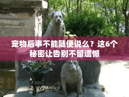 宠物后事不能随便说么？这6个秘密让告别不留遗憾