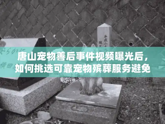 唐山宠物善后事件视频曝光后，如何挑选可靠宠物殡葬服务避免陷阱？