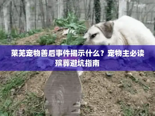 莱芜宠物善后事件揭示什么？宠物主必读殡葬避坑指南