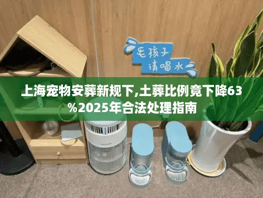 上海宠物安葬新规下,土葬比例竟下降63%2025年合法处理指南