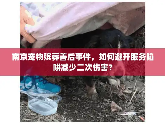 南京宠物殡葬善后事件，如何避开服务陷阱减少二次伤害？