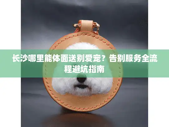 长沙哪里能体面送别爱宠？告别服务全流程避坑指南