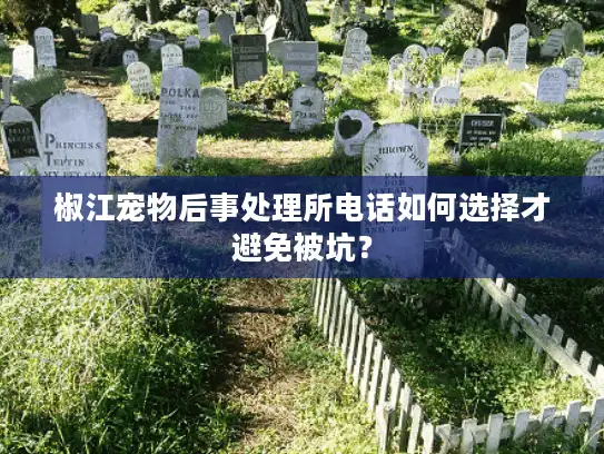 椒江宠物后事处理所电话如何选择才避免被坑？