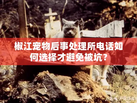 椒江宠物后事处理所电话如何选择才避免被坑？