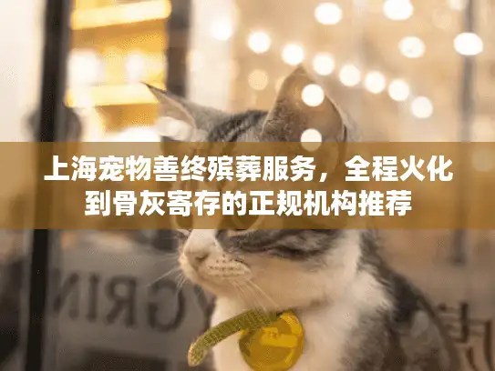 上海宠物善终殡葬服务，全程火化到骨灰寄存的正规机构推荐