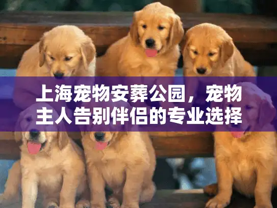 上海宠物安葬公园，宠物主人告别伴侣的专业选择