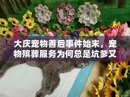 大庆宠物善后事件始末，宠物殡葬服务为何总是坑爹又闹心？