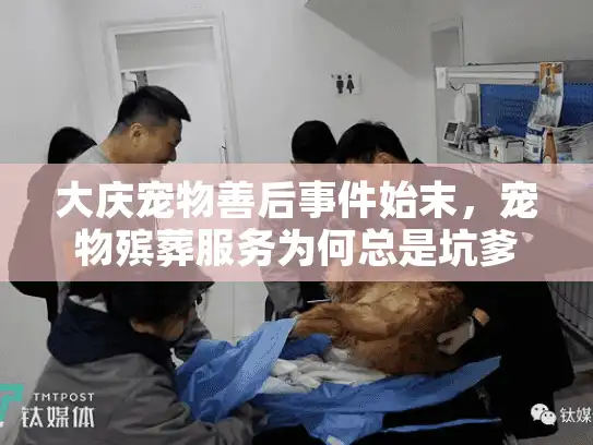 大庆宠物善后事件始末，宠物殡葬服务为何总是坑爹又闹心？