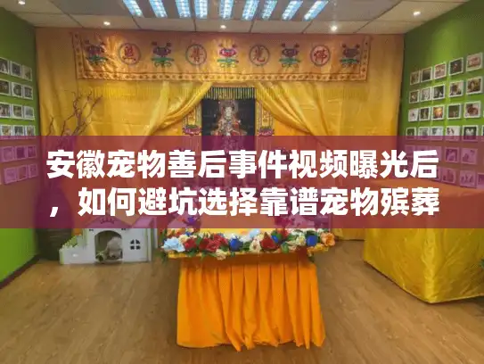 安徽宠物善后事件视频曝光后，如何避坑选择靠谱宠物殡葬服务？