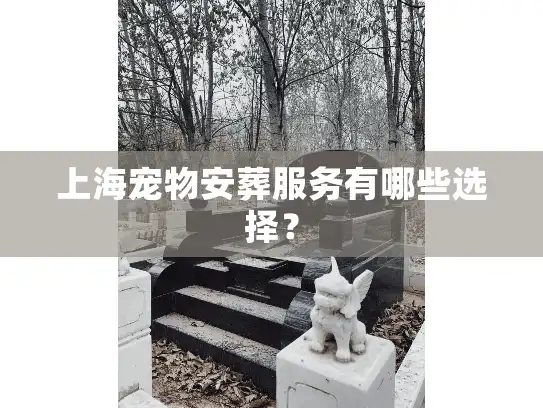 上海宠物安葬服务有哪些选择？