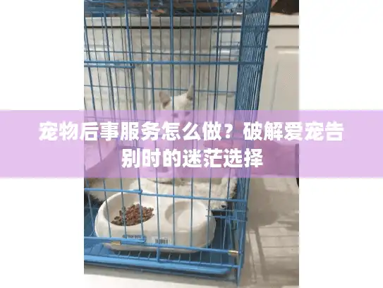 宠物后事服务怎么做？破解爱宠告别时的迷茫选择