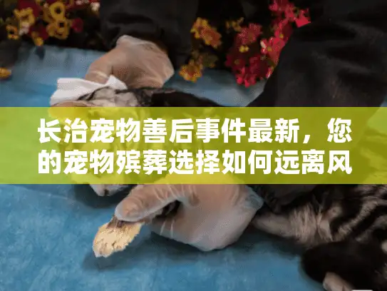 长治宠物善后事件最新，您的宠物殡葬选择如何远离风险与混乱？