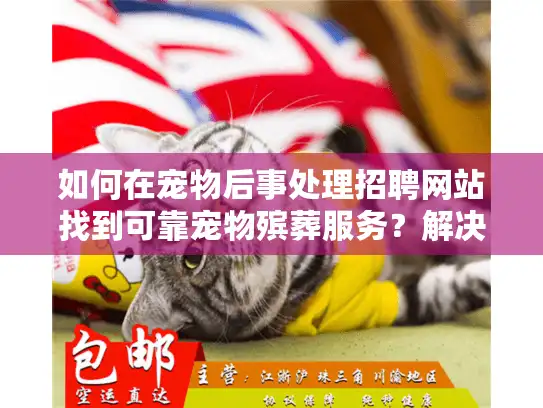 如何在宠物后事处理招聘网站找到可靠宠物殡葬服务？解决你的心痛选择难题