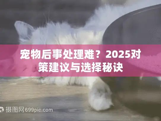 宠物后事处理难？2025对策建议与选择秘诀