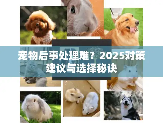 宠物后事处理难？2025对策建议与选择秘诀