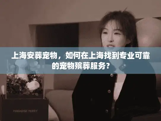 上海安葬宠物，如何在上海找到专业可靠的宠物殡葬服务？