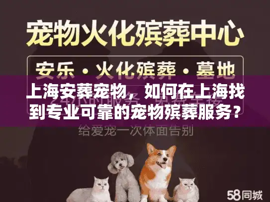 上海安葬宠物，如何在上海找到专业可靠的宠物殡葬服务？