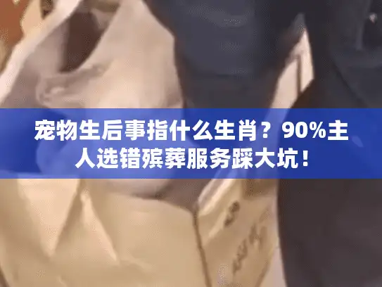 宠物生后事指什么生肖？90%主人选错殡葬服务踩大坑！