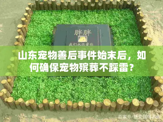 山东宠物善后事件始末后，如何确保宠物殡葬不踩雷？