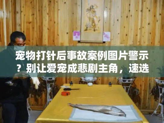 宠物打针后事故案例图片警示？别让爱宠成悲剧主角，速选安全殡葬服务