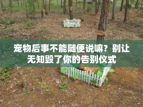 宠物后事不能随便说嘛？别让无知毁了你的告别仪式