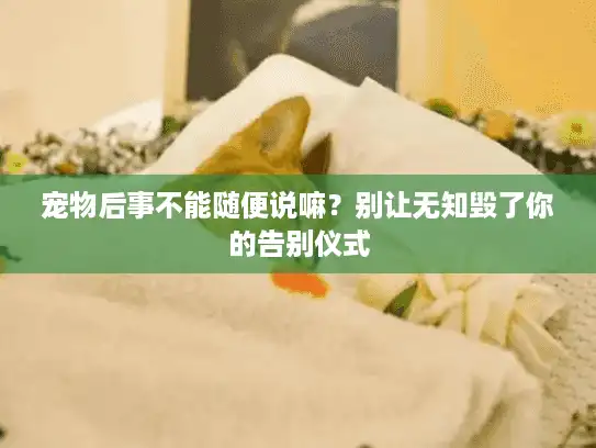 宠物后事不能随便说嘛？别让无知毁了你的告别仪式
