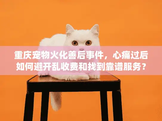 重庆宠物火化善后事件，心痛过后如何避开乱收费和找到靠谱服务？