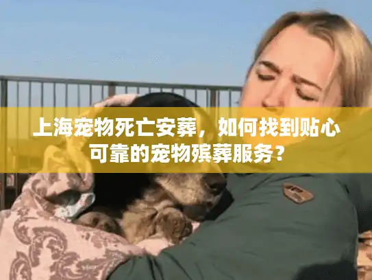 上海宠物死亡安葬，如何找到贴心可靠的宠物殡葬服务？
