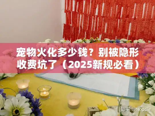 宠物火化多少钱？别被隐形收费坑了（2025新规必看）