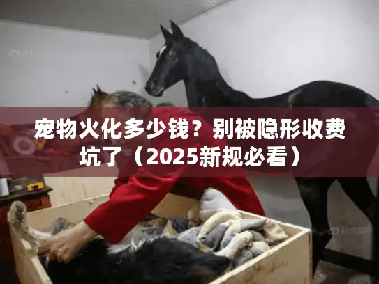 宠物火化多少钱？别被隐形收费坑了（2025新规必看）